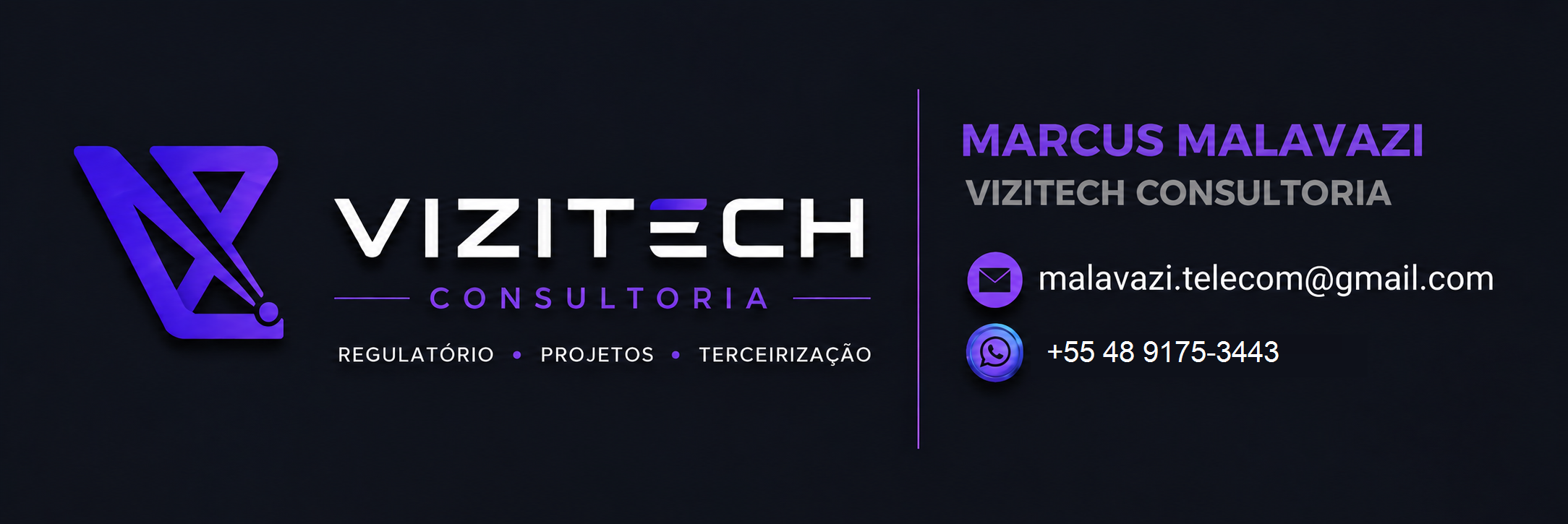 Marcus Malavazi, Vizitech Consultoria